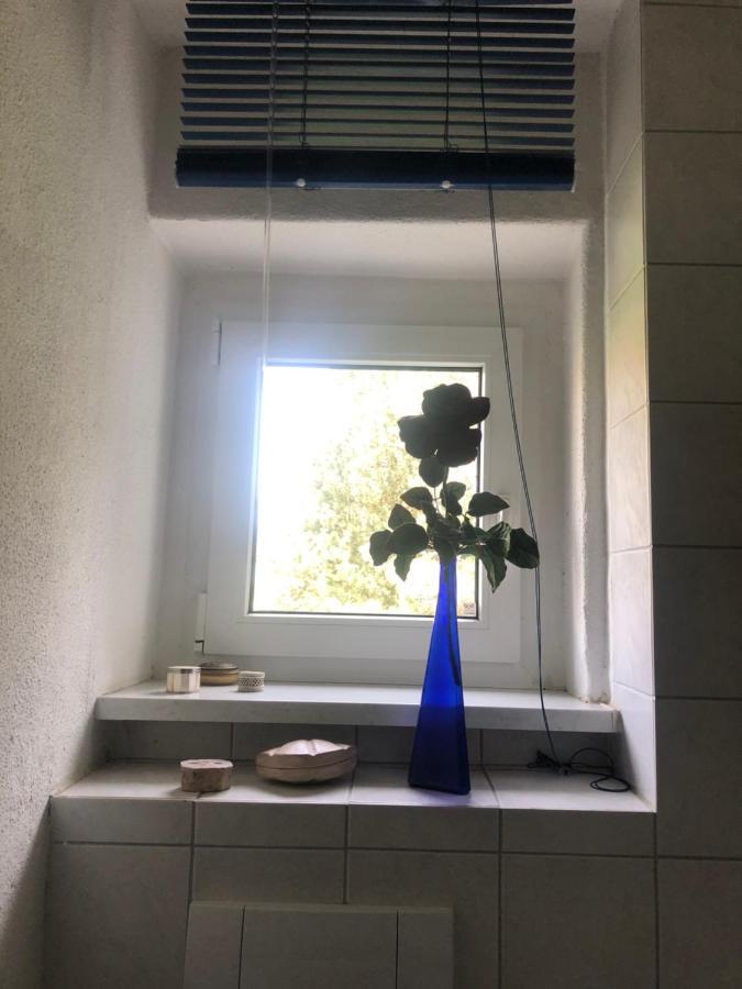 Appartamento Wohlfuehloase Dresden Nickern Esterno foto