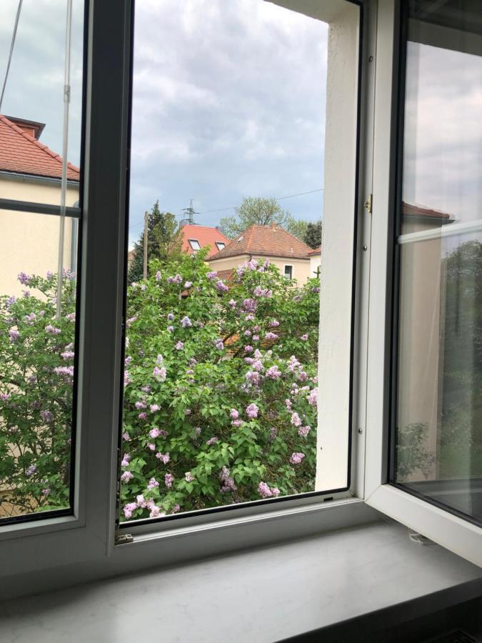 Appartamento Wohlfuehloase Dresden Nickern Esterno foto